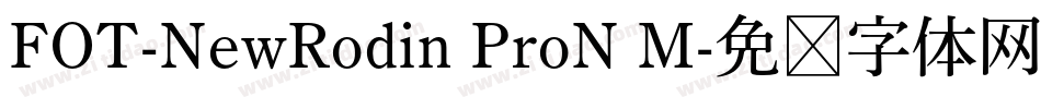 FOT-NewRodin ProN M字体转换